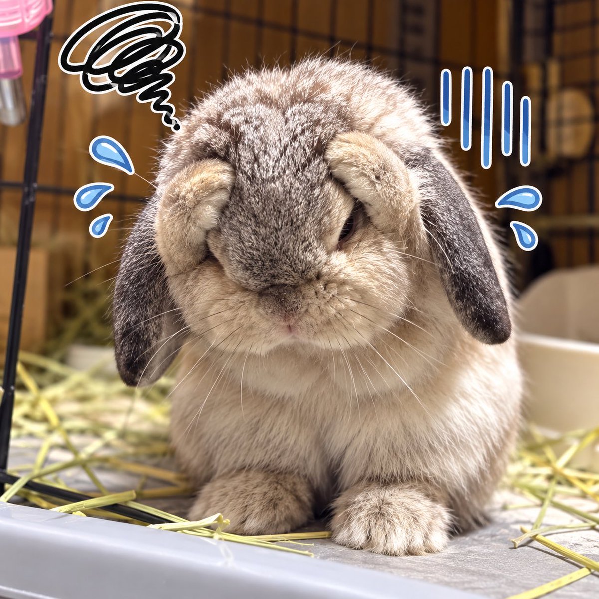 kk3uk3's tweet photo. 趣味ごとの予算配分が増えてヤケクソになりそうで怖い https://t.co/EdcF6C0OEP