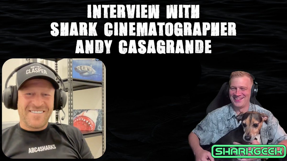 sharkg33k's tweet photo. Just posted my interview with shark Cinematographer Andy Casagrande (@ABC4EXPLORE) on YouTube.
Watch it here:
https://t.co/75vPaEa8N4
#shark #sharks #sharkweek #scuba #scubadiving https://t.co/DX3e7f3BlS
