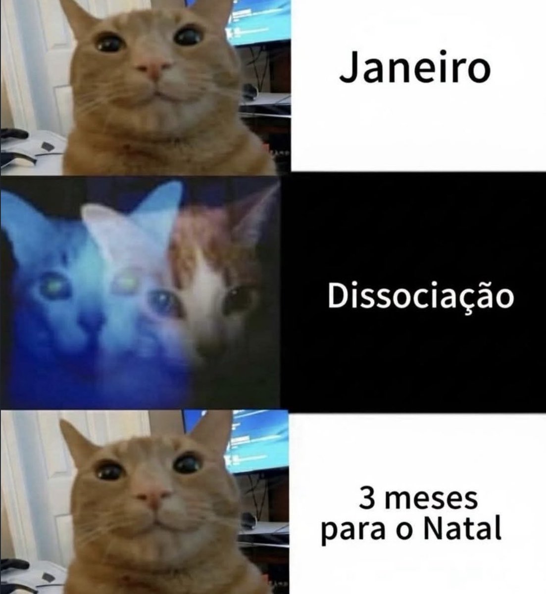 shitpostverdade's tweet photo. https://t.co/uLtglhAXe2