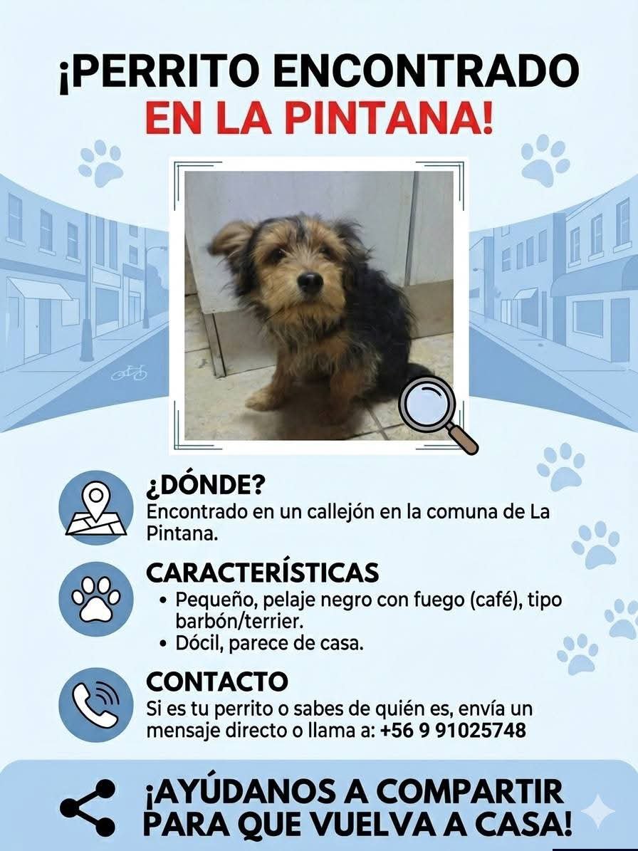 todopormiperro's tweet photo. https://t.co/sueODxQNSH