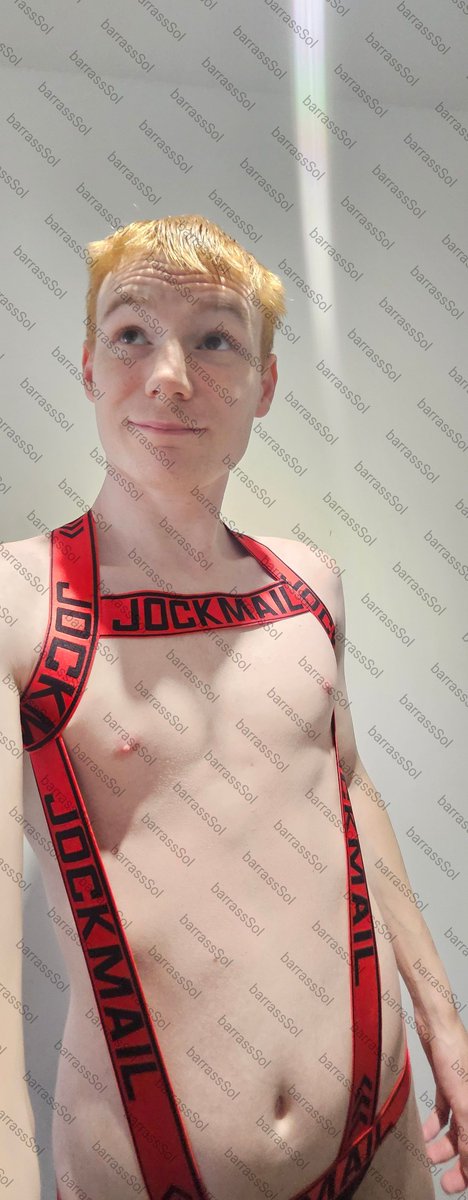 BarrassSol's tweet photo. I Also have a few JockMail harnesses has well. https://t.co/LU9nqAQANl