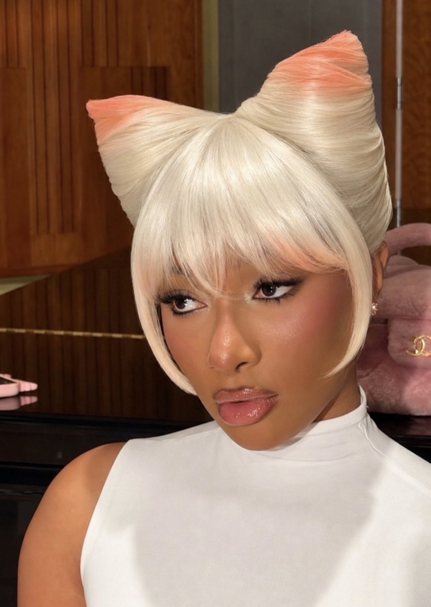 queen_stallion1 tweet picture