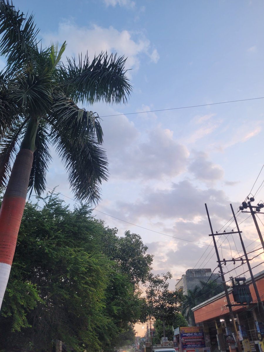 praggya_'s tweet photo. It is 6 in the morning and the sky hasn’t decided yet. Clouds sitting low, palm leaves cutting across them, wires running through like they belong there. Shops still closed, street still half asleep. https://t.co/jyr0zsdrJD