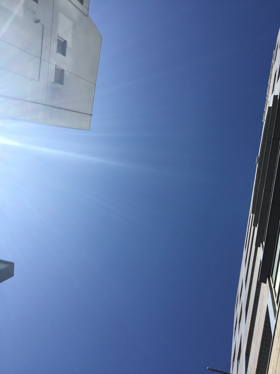 daikokuya2016's tweet photo. おはようございます！
本日の静岡市は快晴です☀

今日は朝から暑いですね🥵
気温も上がり体感温度も高くなると思われますのでいつも以上に水分補給して一日乗り越えましょう！

本日も営業しておりますのでよろしくお願いいたします！

#イマソラ #企業公式相互フォロー https://t.co/QwjHhCvtUZ