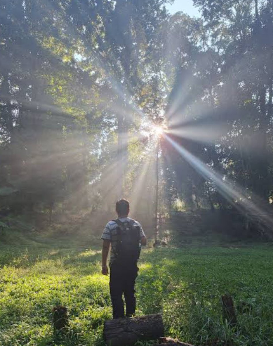 RamDhakar97's tweet photo. Good morning X fam 🏞️🌲🌳
Every sunrise is a gentle reminder that anything is possible🏞️🌲🌳. https://t.co/f6ImZL7XzF