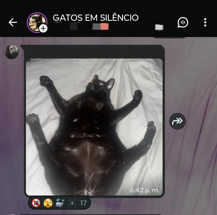Andissa_'s tweet photo. 18 años 
Me uni a un grupo de gatos en silencio 
No “padres ricos”
No “tuve suerte” 
Me puse una meta y la alcancé
Disciplina, conciencia y prioridades. https://t.co/G3FFsa8AOu