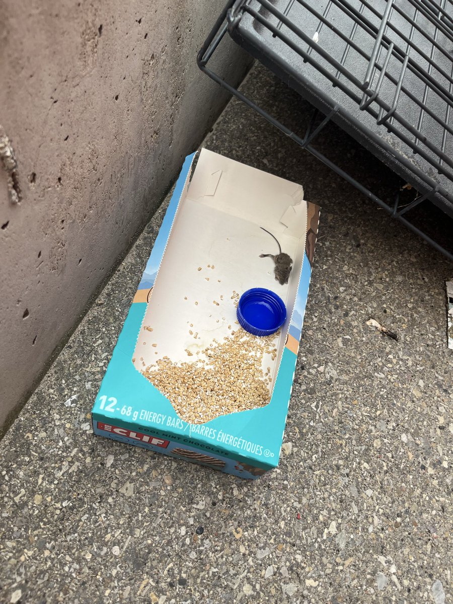 AlphaGetti_cum's tweet photo. Sad mouse https://t.co/mxGCfDa8OV