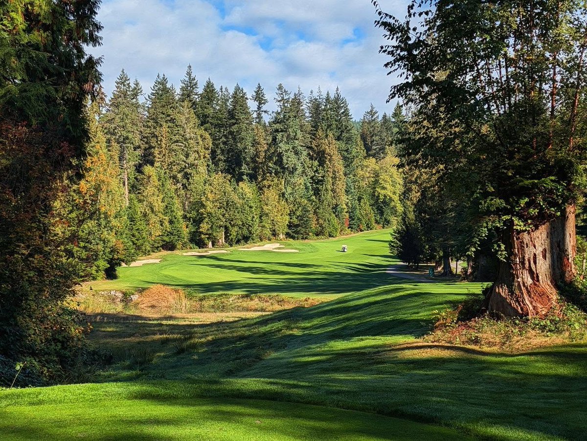 franksgolfing's tweet photo. Les Furber won't get the credit due for designing a great golf course on a very difficult property, but @NorthlandsGC is fun, in great shape, and amazingly pretty. And that's great to me. https://t.co/YQjF1mZ76n