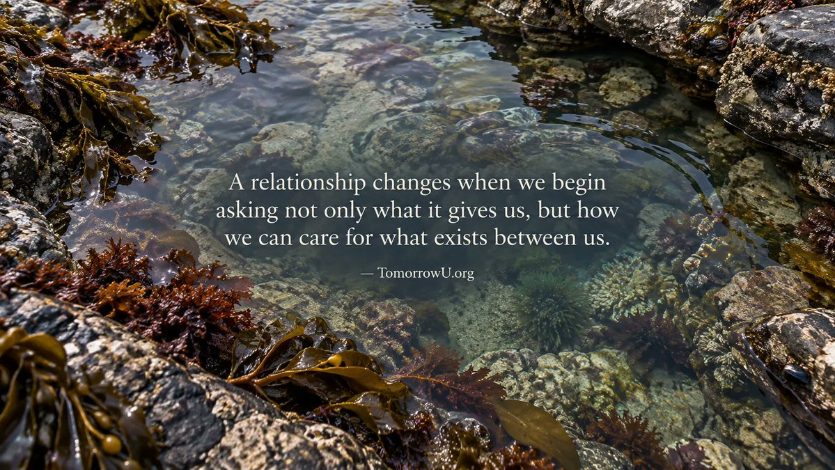 TomorrowU_org's tweet photo. Relationships deepen when we shift some of our attention from what we receive to what we bring.

Care, patience, honesty, and effort all become part of what we create together.

✨ https://t.co/7NRfGXJDaW

via @TomorrowU_org

#Relationships #Connection #MutualCare https://t.co/JET9PQky12