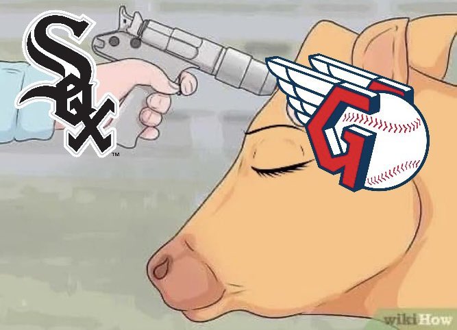 guardocat's tweet photo. my one request to the @whitesox is that they make Wednesday's game a nice merciful blowout and keep it under 2 hours https://t.co/qdvKEulgxG