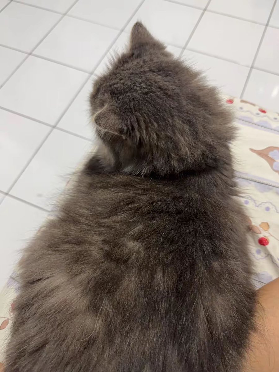 simaniseu's tweet photo. apalah ini dekat2 dengan muka seperti itu https://t.co/vFARQSugkS