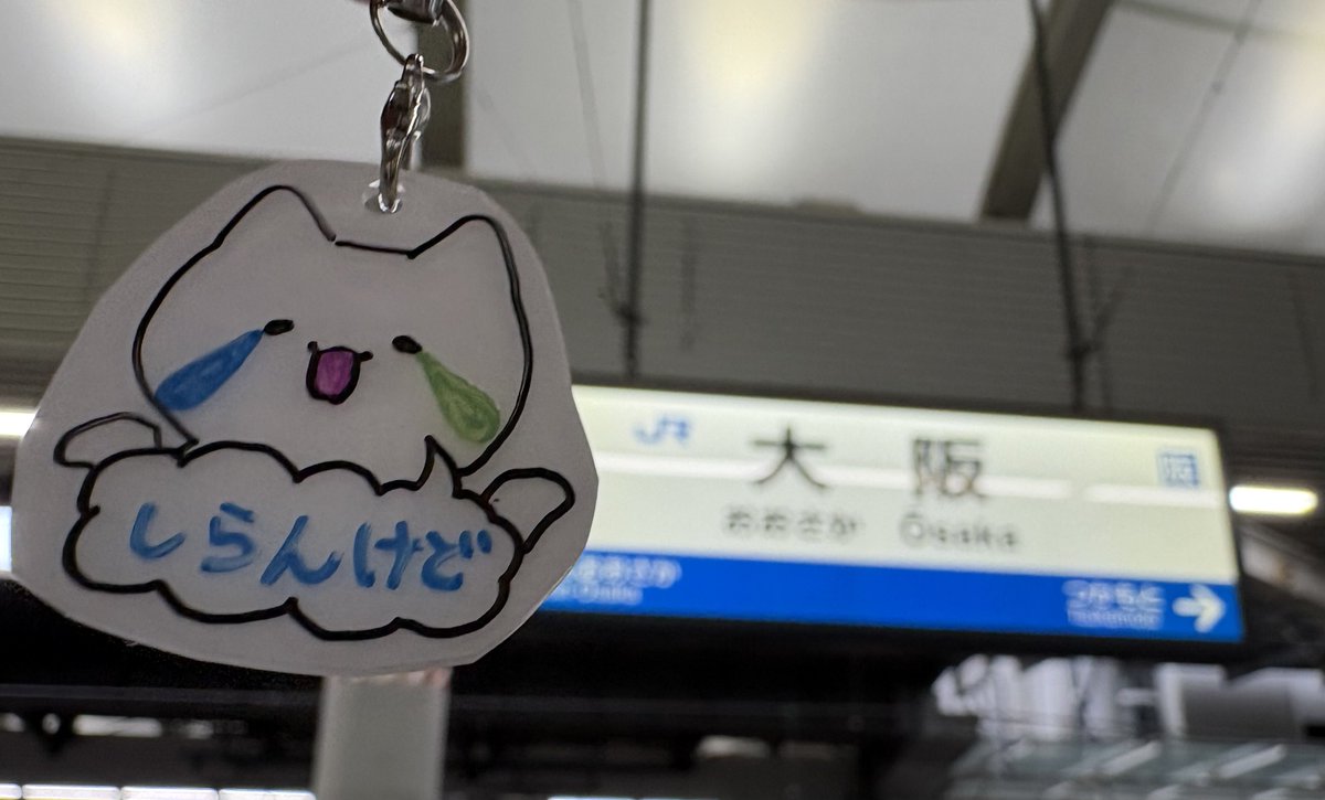 dora_toi's tweet photo. 遠く離れた別の街で再会できて幸せでした！旅の醍醐味ですね。
また多くの方に初めてご挨拶でき、とても嬉しかったです！

大阪遠征楽しかった〜！ https://t.co/lLI5gJBSB4
