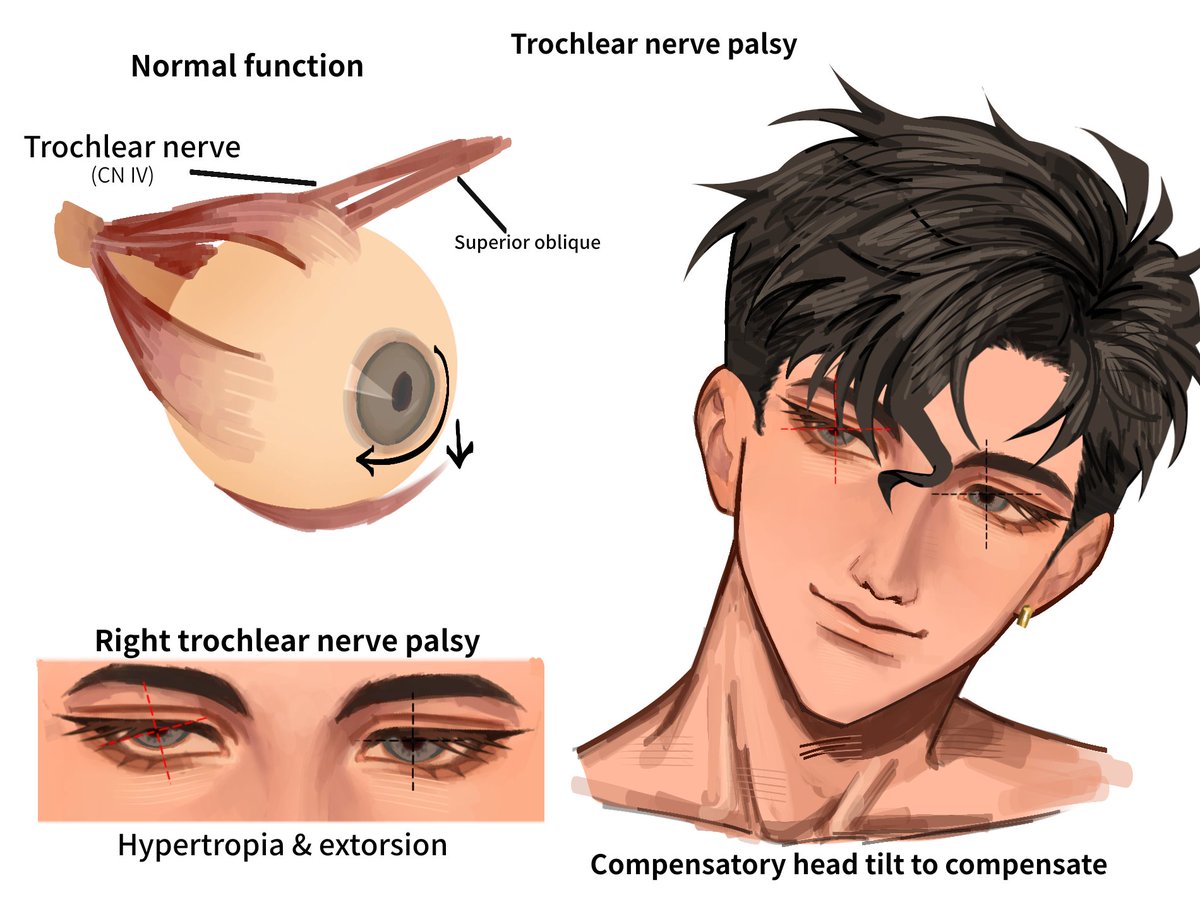 sieudeptrai08's tweet photo. Sometimes I forget that I can draw like this #superboy #konel https://t.co/iaIqzOGrRq