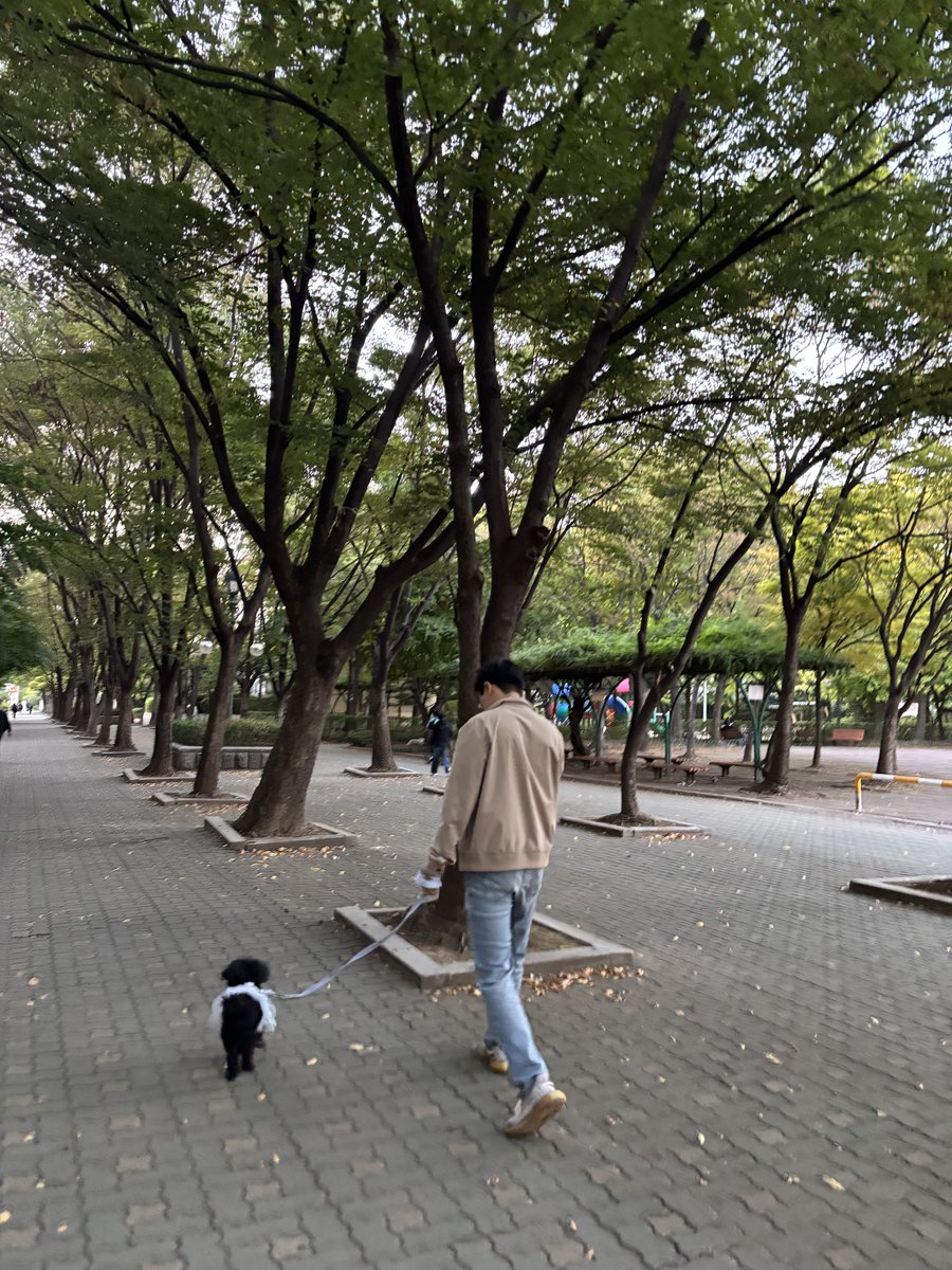 andrewb0922's tweet photo. 인도로 걷지
칸초와 앤디 https://t.co/Hm4ywTIO5E