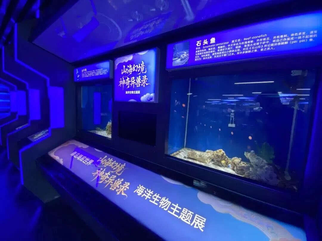 lmtesla's tweet photo. 国庆假期，青岛市市南区各大景区景点、文博场馆、商圈街区人潮涌动、热闹非凡，一场场文旅惠民活动轮番登场，把“诗与远方”装点得烟火气十足。 https://t.co/ftcQmsacDU