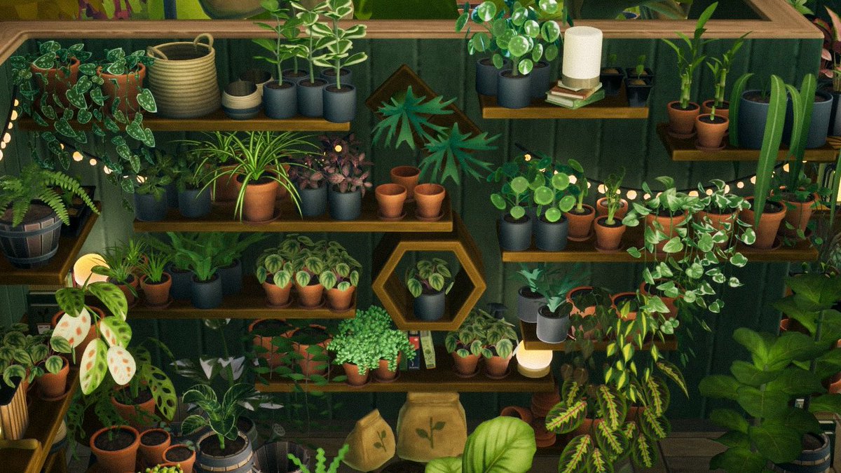 _lauaze's tweet photo. コツコツ続けていた
Leafy Conerの店内が仕上がりました !
お気に入りの空間が作れて大満足🪴

楽しかった🫶🏻

#LeafyCorner https://t.co/Lqs9F9bvt2