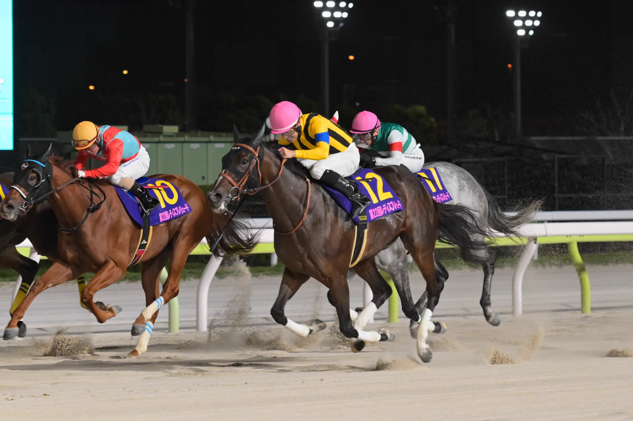 本日 地方 競馬