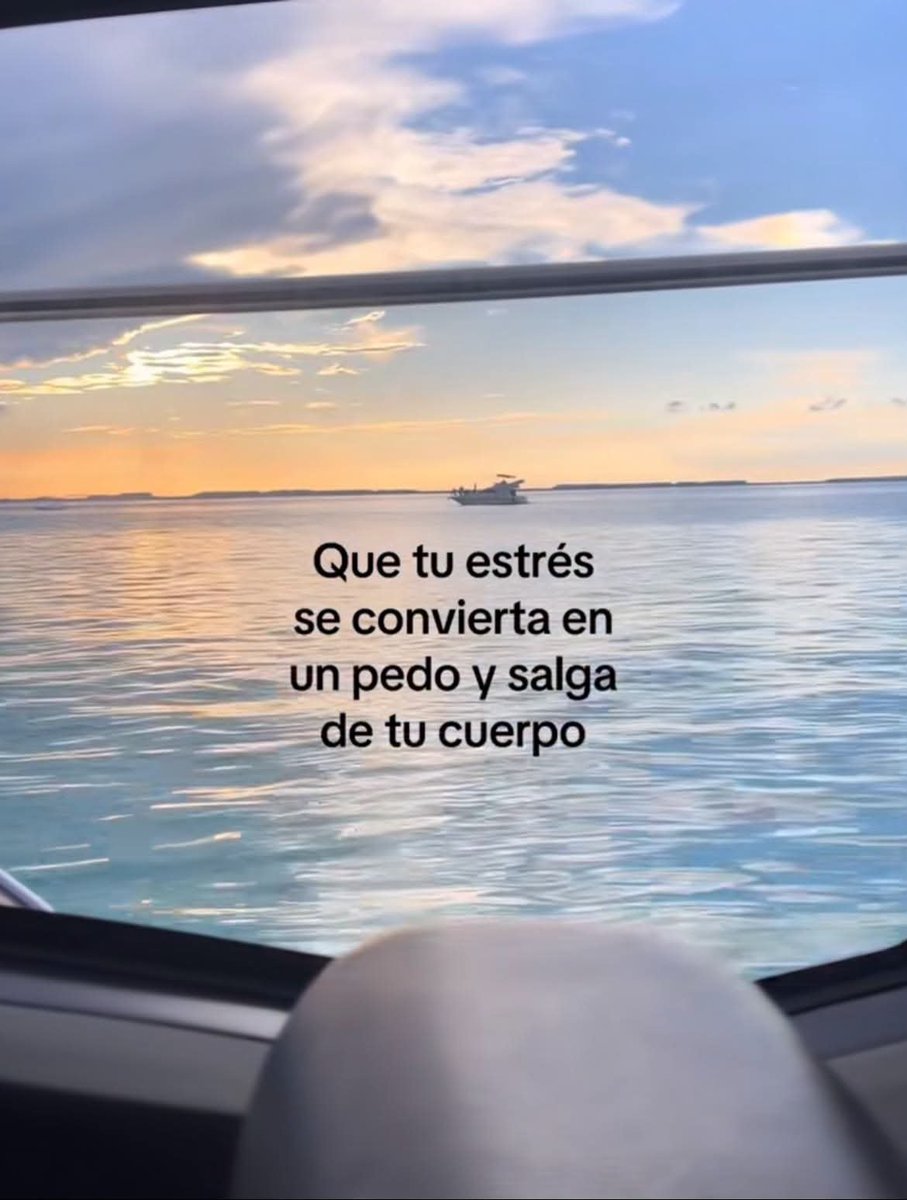angelo_uf's tweet photo. https://t.co/S4RK55q0l7