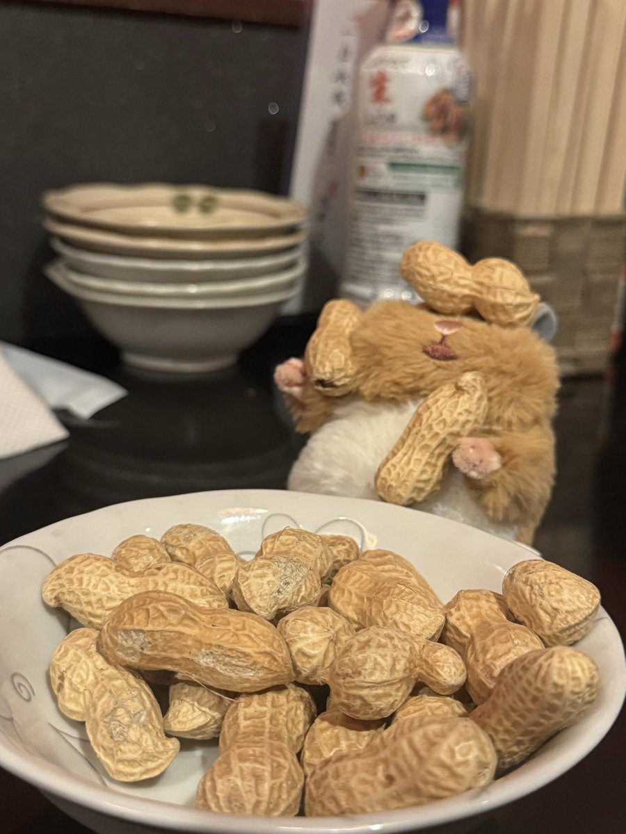 _2525_neko's tweet photo. 赤羽で昼から飲みに行くのにはむにぎり🐹持って行ったら、案の定一緒に帰れなかったＷＷＷＷＷＷＷ https://t.co/0o4TrEpdSJ