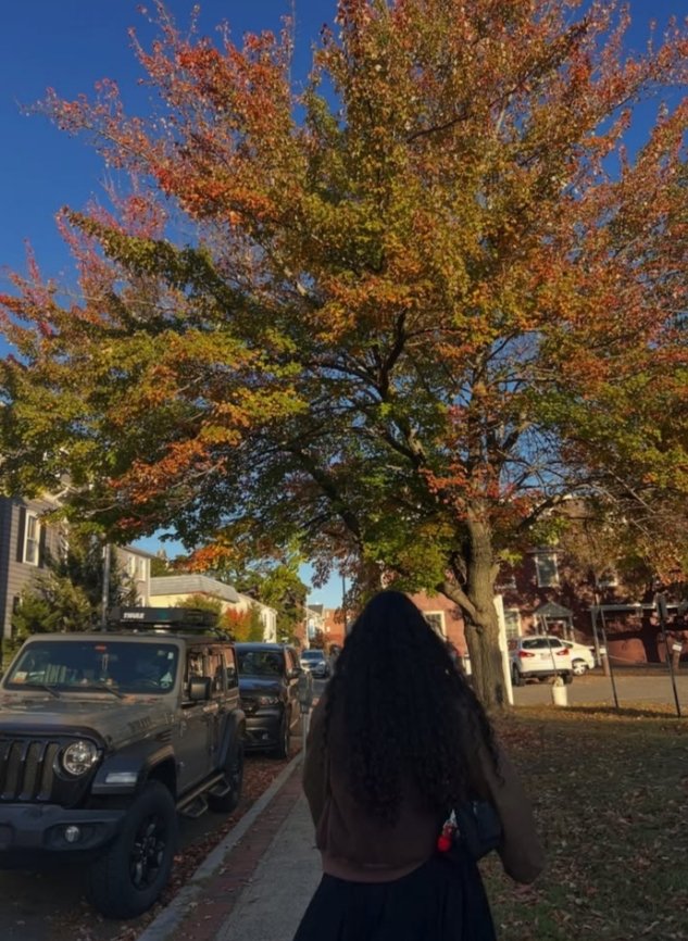 MariscalYanis's tweet photo. 🧡🎃🔥🎃🧡🇺🇸🇵🇦🧡🎃🔥🧡🎃 https://t.co/iSvBPtSMGO