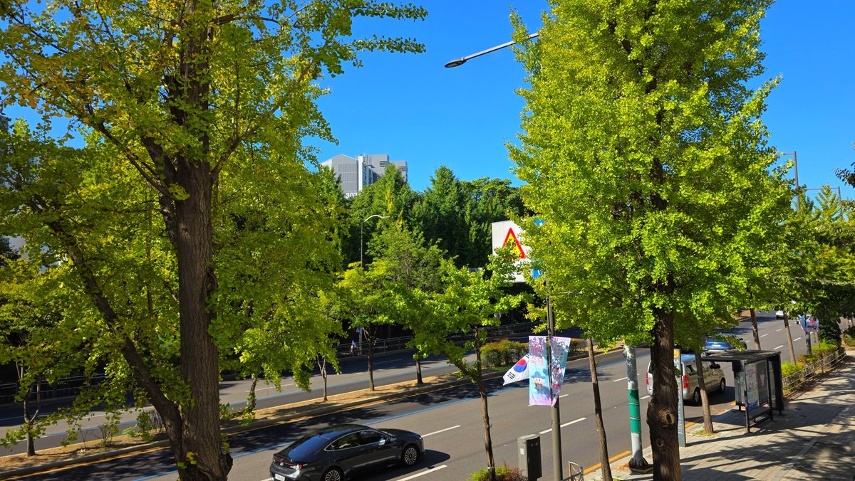 Peacism's tweet photo. #GoodDay #GoodLuck ❤️ 
긍정을 믿습니다! ❤ #Korea #Seoul #Landscape #Sky #날씨좋다 #긍정 #믿다 #Love #Always #Memory #Remember #Moment #Believe #S2 #With #함께 #고마워요 #기억 #순간 #생각 #다잘될거야 #힘내자 #사랑 #열정 #도전 #사색 #가을 #Autumn https://t.co/STqpDnOHKz