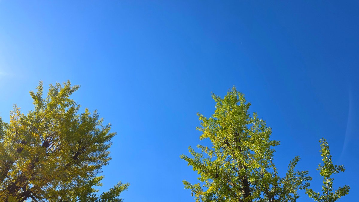 Peacism's tweet photo. #GoodDay #GoodLuck ❤️ 
긍정을 믿습니다! ❤ #Korea #Seoul #Landscape #Sky #날씨좋다 #긍정 #믿다 #Love #Always #Memory #Remember #Moment #Believe #S2 #With #함께 #고마워요 #기억 #순간 #생각 #다잘될거야 #힘내자 #사랑 #열정 #도전 #사색 #가을 #Autumn https://t.co/STqpDnOHKz