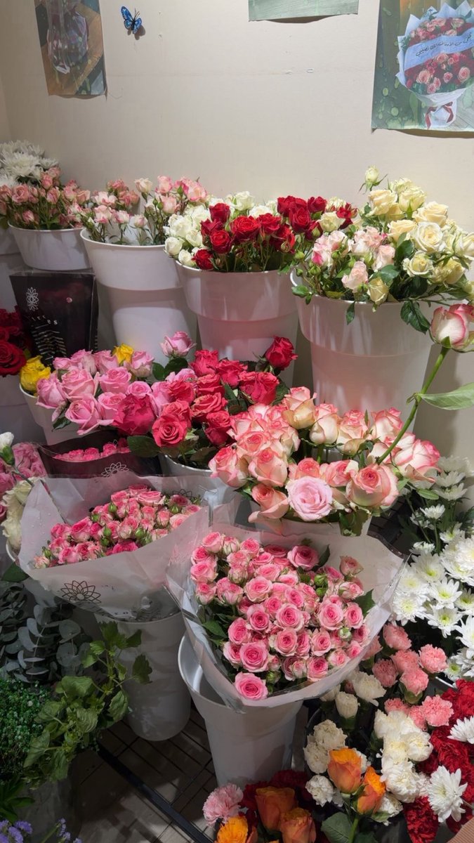 mmijjmmm's tweet photo. هذا اليوم رحت محل ورد واخذتلي ورده حلوه لاني ورده 🌸 https://t.co/Ib0elV0hRX