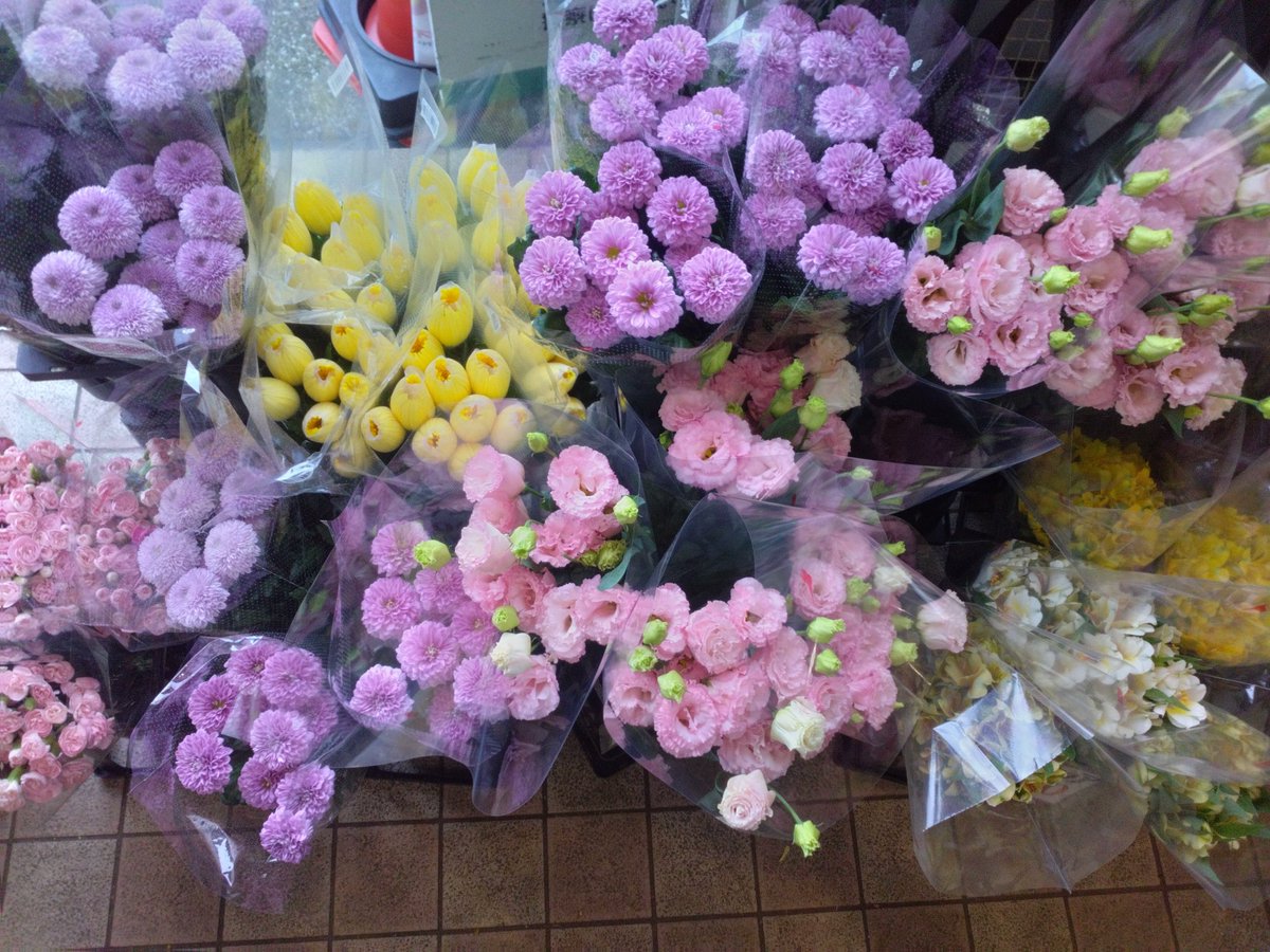 WF_bessho's tweet photo. おはようございます☀✨️
ワールドフラワー開店致しました！
本日は、午後から鉢花の入荷がございます！

お祝いや御供えに【胡蝶蘭】

お庭で毎年お仏花を収穫
タダで御供え【ガーデンマム】

切花もお買い得です！
是非お立ち寄り下さい！
#ワールドフラワー　#イトーヨーカドー横浜別所店　#上大岡 https://t.co/XxaG4Hbej4