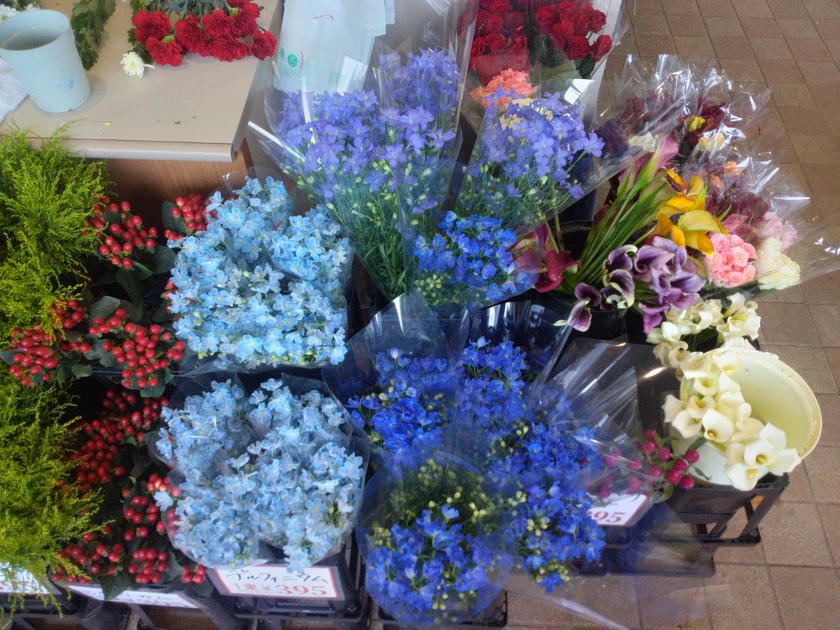 WF_bessho's tweet photo. おはようございます☀✨️
ワールドフラワー開店致しました！
本日は、午後から鉢花の入荷がございます！

お祝いや御供えに【胡蝶蘭】

お庭で毎年お仏花を収穫
タダで御供え【ガーデンマム】

切花もお買い得です！
是非お立ち寄り下さい！
#ワールドフラワー　#イトーヨーカドー横浜別所店　#上大岡 https://t.co/XxaG4Hbej4