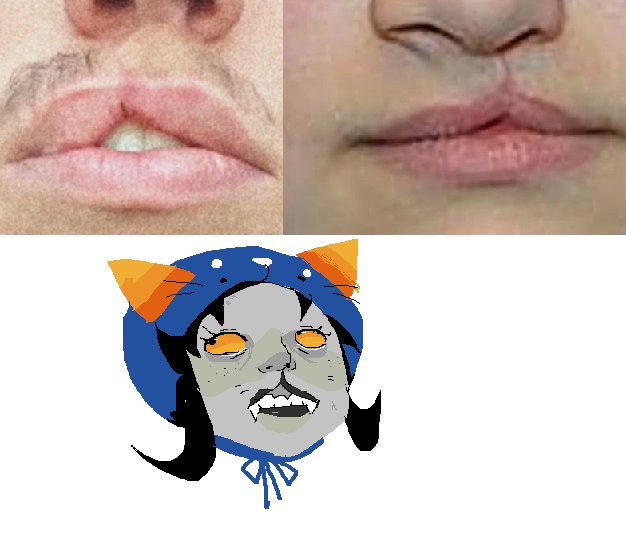 ElblarckG's tweet photo. imagine if nepeta's cat snout was a cleft lip #homestuck https://t.co/09md0rEIsP