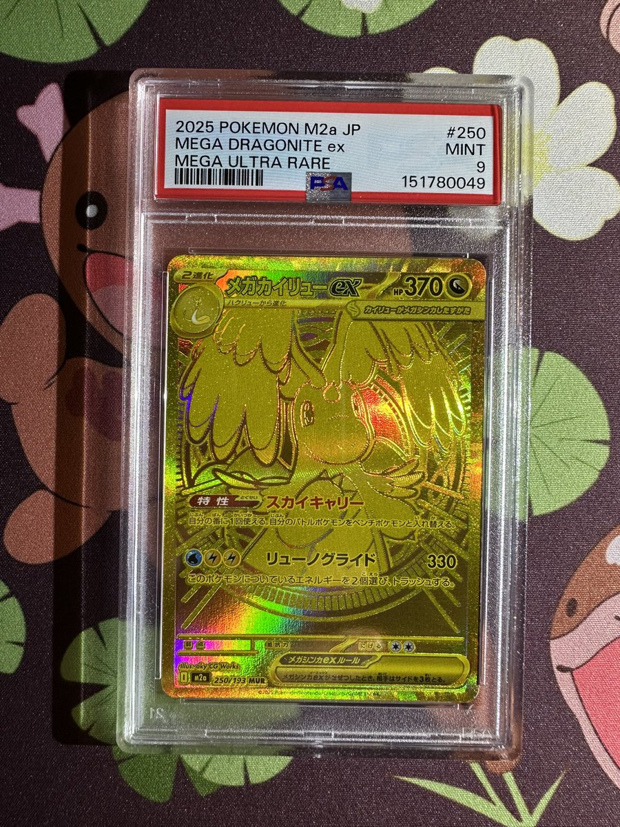 dragoran_tcg tweet picture