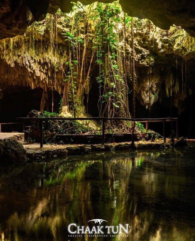 CenoteChaakTun's tweet photo. 💚 Explorar el inframundo Maya por primera vez es una experiencia que recordarás para toda la vida.
#ChaakTun #ChaakTunMexico #CenoteChaakTun https://t.co/FL6BeYotWE