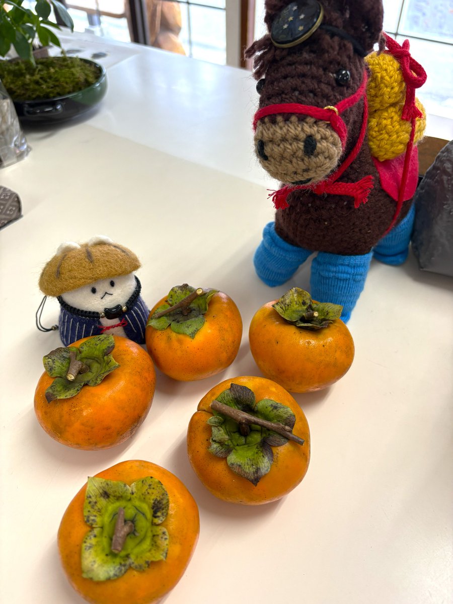 tabiyamarumori's tweet photo. 秋のおすそわけをいただきましたよ、タビヤマさん！
３時のおやつに食べましょうか！
#タビスルヤマネコ #柿 #丸森町 https://t.co/Lwv8JzXyto