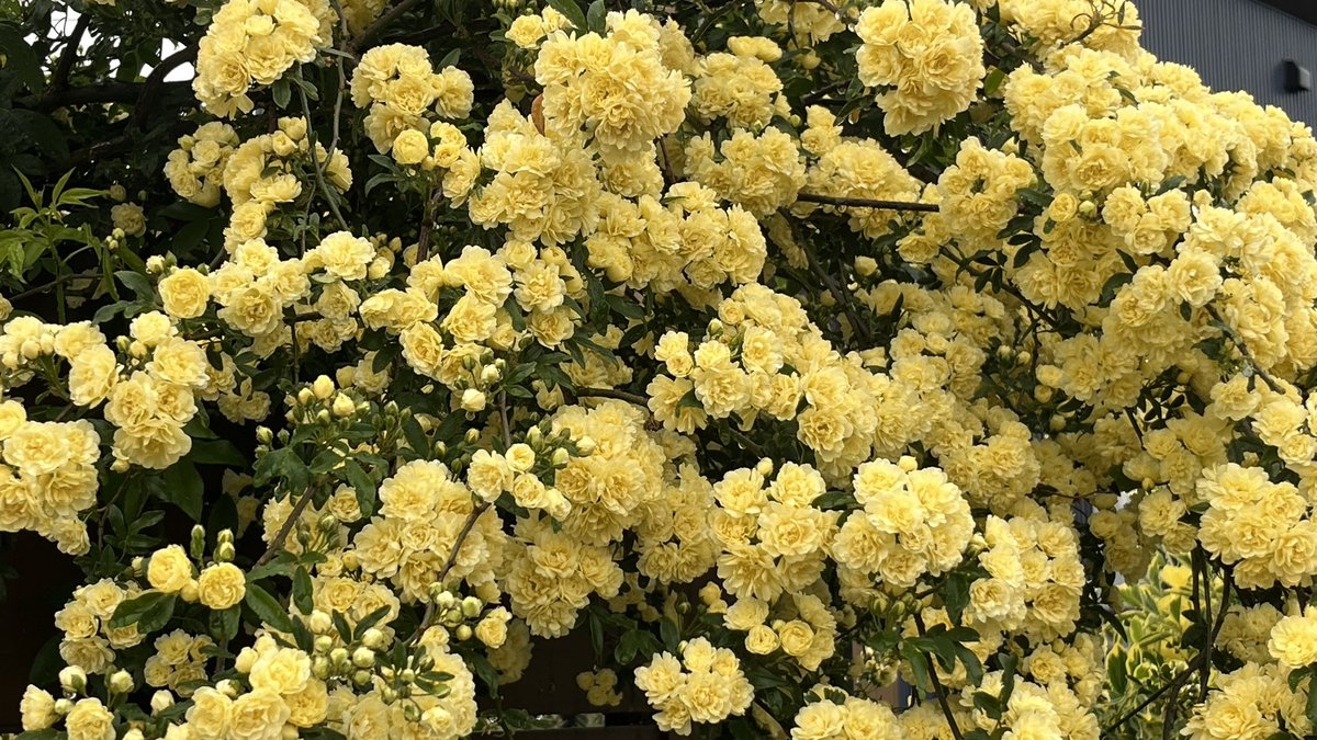 Sutikk2f's tweet photo. 休憩する準備はできてる https://t.co/DXu8l2EhBc