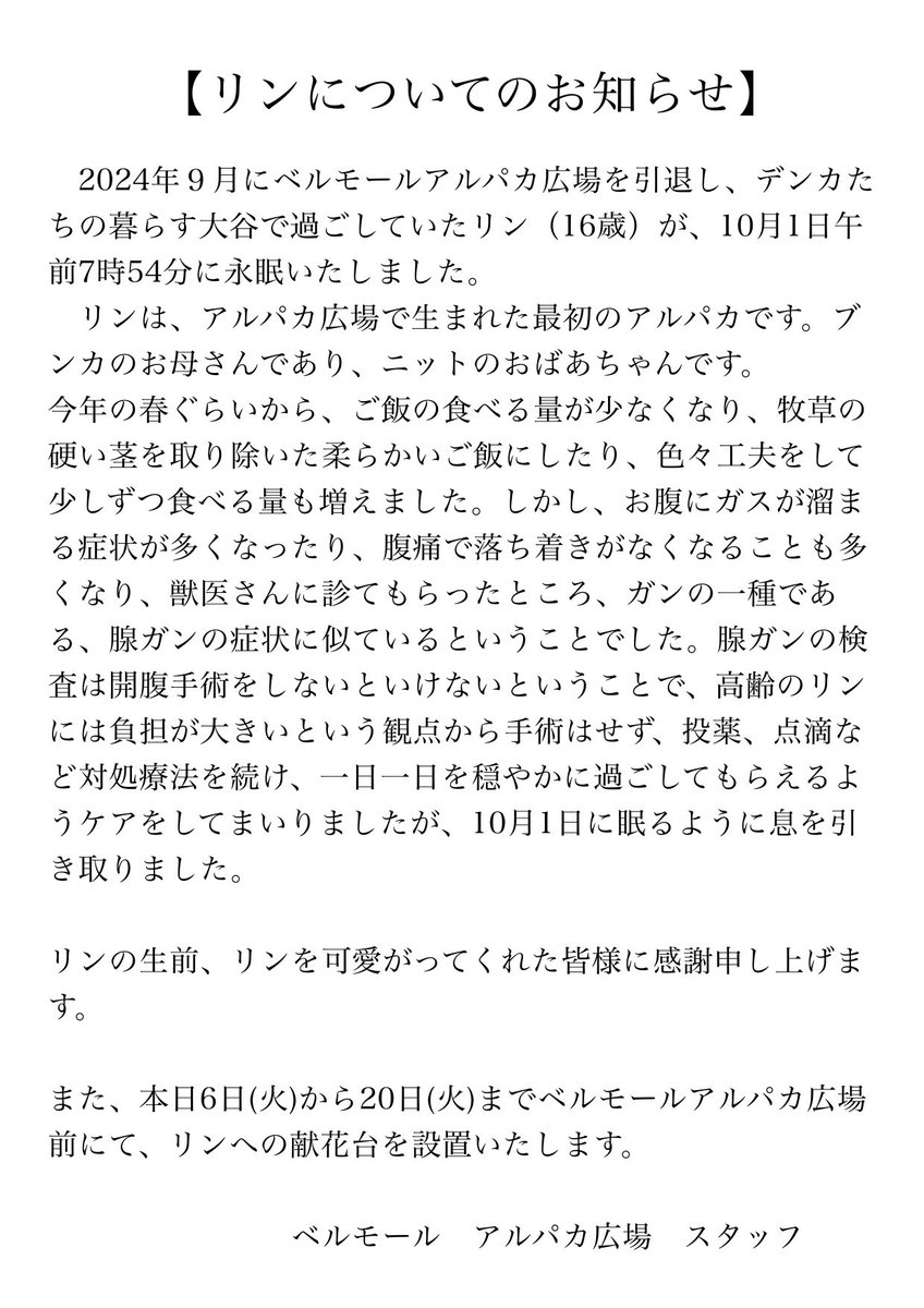 BellMall_alpaca's tweet photo. 【大切なお知らせ】
2024年９月にアルパカ広場を引退し、大谷で過ごしていたリン（16歳）が10月1日に永眠いたしました。
詳しくは画像をご覧いただければと思います。
生前、リンを可愛がってくれた皆様に感謝申し上げます。 https://t.co/ax7Z9QU1TR