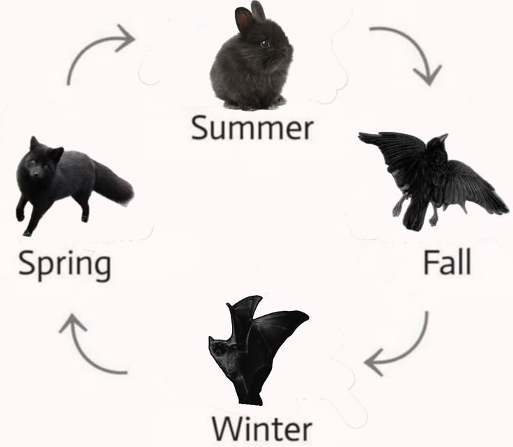 battwting's tweet photo. https://t.co/mbBNUYrZpR