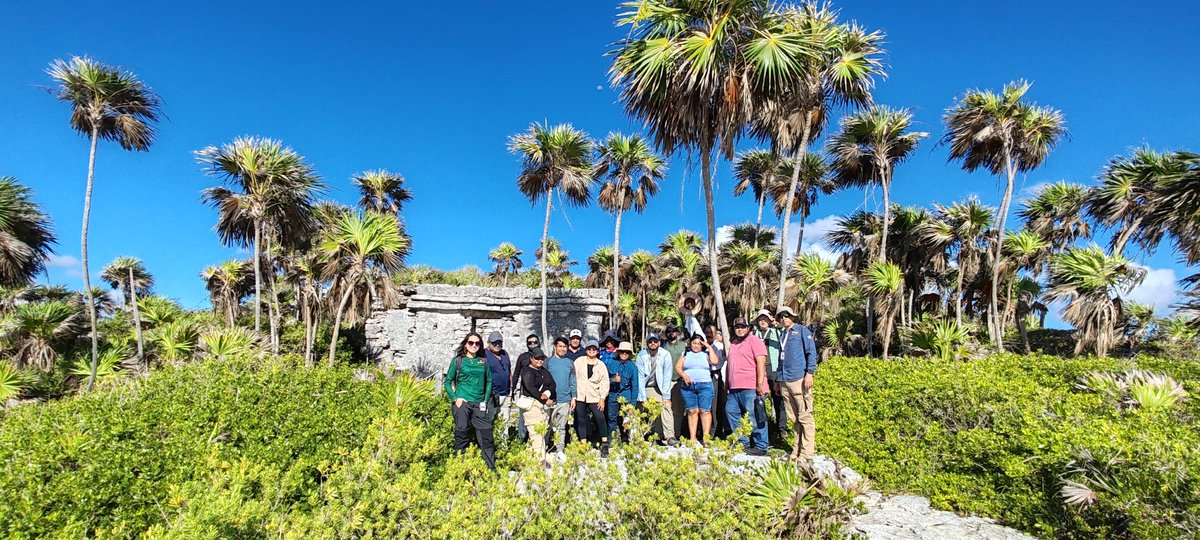 CONANP_mx's tweet photo. Se llevó a cabo una jornada de capacitación para la acreditación de guías de turistas con especialidad en interpretación ambiental. ✅

Esta capacitación se realizó en el marco del #PROCODES 2026, del PN #Tulum y el APFF #Jaguar. 🏝️

#SomosNaturaleza 🌴🌊🌿🌸🛥️🥾🐝🦎🐦🐆🐊 https://t.co/NFR441zzGe