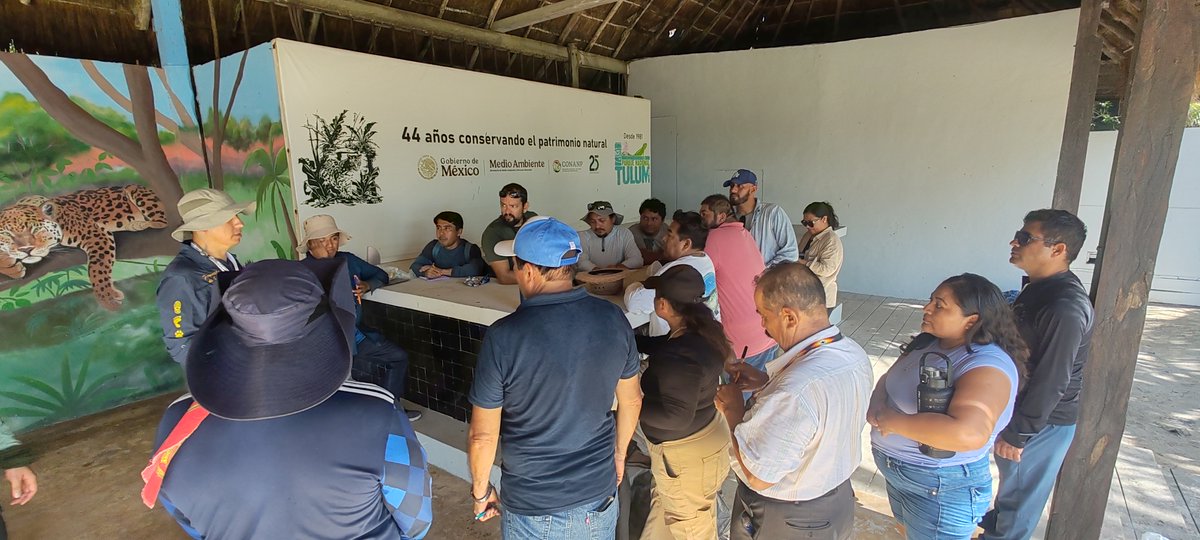 CONANP_mx's tweet photo. Se llevó a cabo una jornada de capacitación para la acreditación de guías de turistas con especialidad en interpretación ambiental. ✅

Esta capacitación se realizó en el marco del #PROCODES 2026, del PN #Tulum y el APFF #Jaguar. 🏝️

#SomosNaturaleza 🌴🌊🌿🌸🛥️🥾🐝🦎🐦🐆🐊 https://t.co/NFR441zzGe