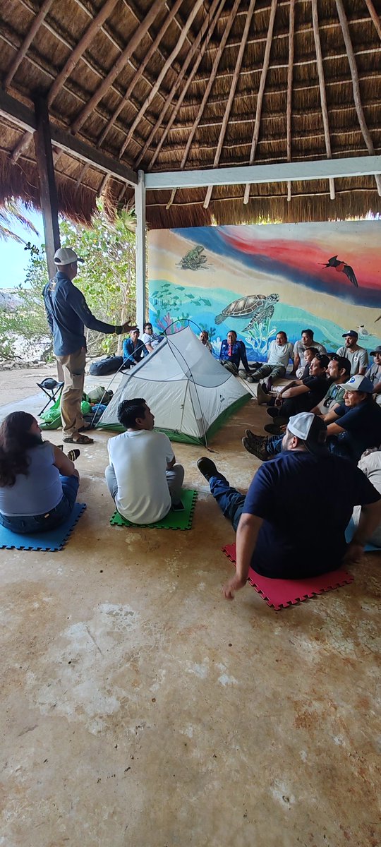 CONANP_mx's tweet photo. Se llevó a cabo una jornada de capacitación para la acreditación de guías de turistas con especialidad en interpretación ambiental. ✅

Esta capacitación se realizó en el marco del #PROCODES 2026, del PN #Tulum y el APFF #Jaguar. 🏝️

#SomosNaturaleza 🌴🌊🌿🌸🛥️🥾🐝🦎🐦🐆🐊 https://t.co/NFR441zzGe