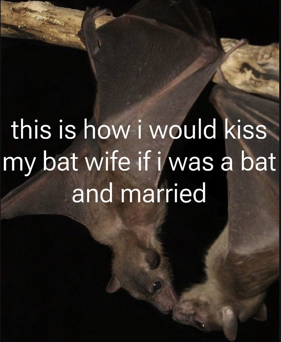 battwting's tweet photo. https://t.co/vhpEZK71YH