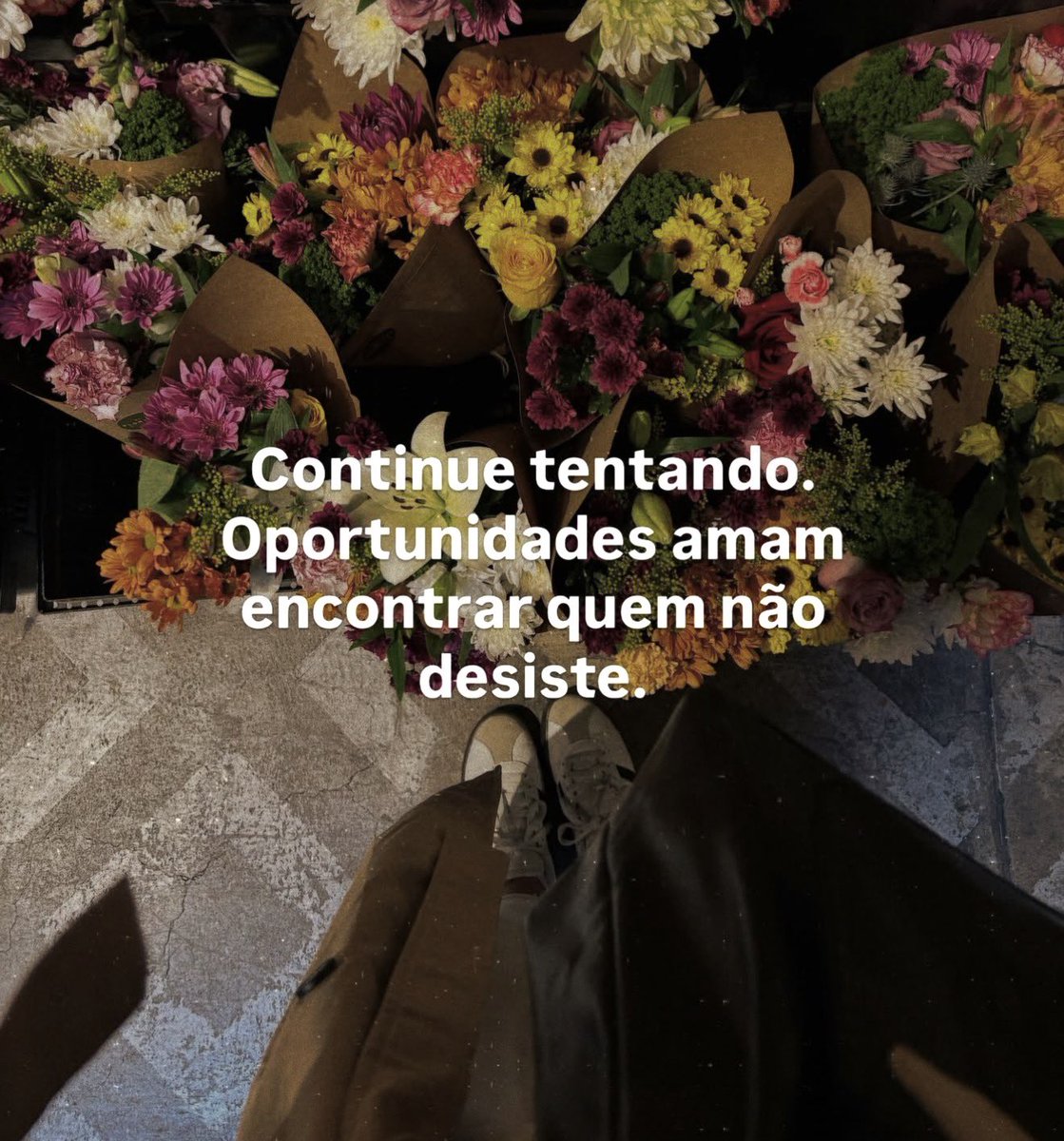 reescrevi_frase's tweet photo. https://t.co/AP0a2hw9Wi