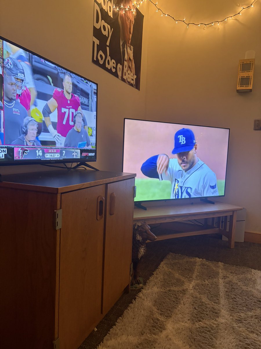 NeilNoseBeers's tweet photo. “Gonna go the living room and study”
The current living room situation: https://t.co/UFCxci0gap