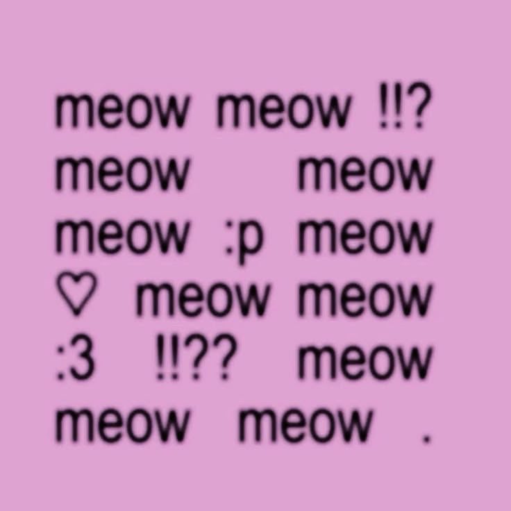 Mmclee12's tweet photo. คุยภาษาแมว ม้าวว🐱 https://t.co/Z8tQiDOEZp