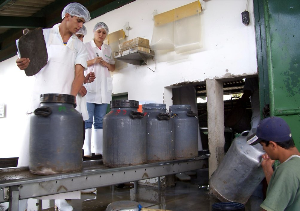 Canal4Ni's tweet photo. 🥛🇳🇮 ¡El sector lácteo sigue creciendo y generando oportunidades! 💪🏼✌🏼
✨🥳 La transformación y generación de valor agregado de la producción de leche fortalece el aporte del sector lácteo a la economía nacional 📈🤩. #noticias #nicaragua #canal4
Más información 🌐👉🏼 https://t.co/1hl20M5tLh