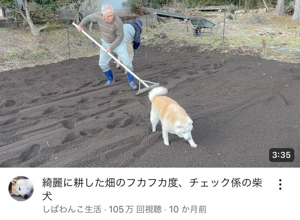 a_tarime_'s tweet photo. このサムネとタイトル癒されすぎて無理 https://t.co/8LkzPtfH71