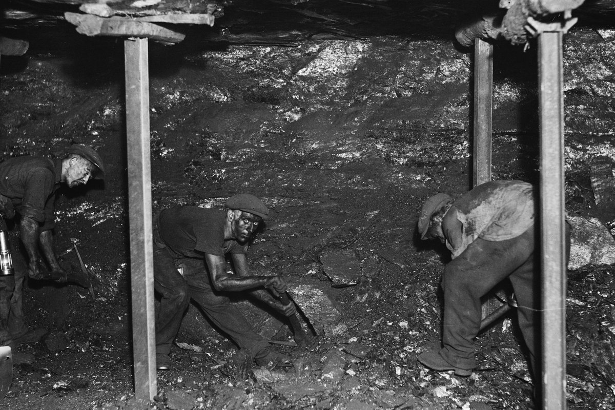 MillenniumState's tweet photo. If anyone is interested in working in the West Virginia coal mines, hit me up. We are doing what we can to take care of our young white Christian Patriots who have been DEI discriminated against. The ideal candidate would be a retard who wants destroy their body doing menial labor. We are trying to build a network, take care of /ourguys/- the expectation is a loyal brotherhood. Keep paying it forward and help the next man climb over your body after you get buried alive or crippled deep in the tunnels. This is how we win.