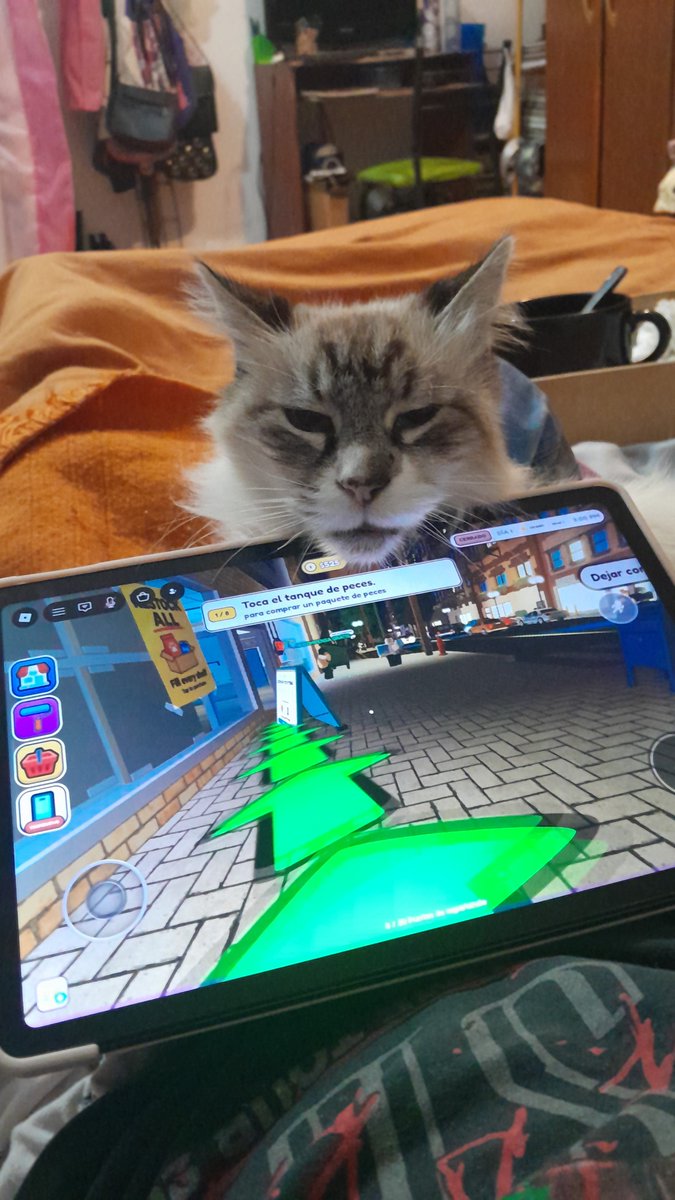 yvesolya's tweet photo. cuando queres jugar pero tenes un gato gordo con apego https://t.co/GD4iOsJHJf