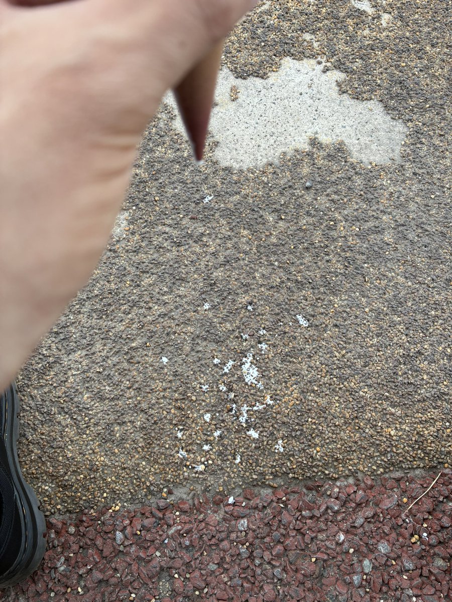 charon_alter's tweet photo. ソフトクリームも満足に食べられない男 https://t.co/5ZJBsN8RJL