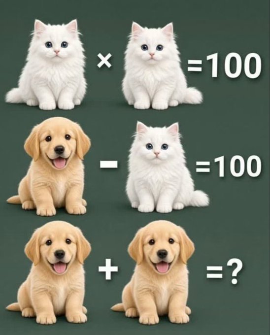 A math puzzle image showing: cat + cat = 100, dog - cat = 100, and dog + dog = ? using cute cat and puppy illustrations.
