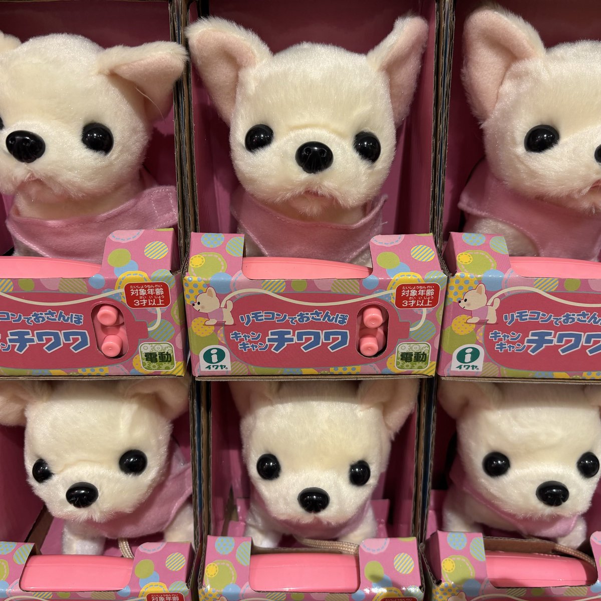 vv_tenmonkan's tweet photo. この子みたいなきゅるきゅるおめめのスタッフがいます

#ヴィレッジヴァンガード
#ヴィレヴァン
#チワワ https://t.co/3KqWNqIuOI